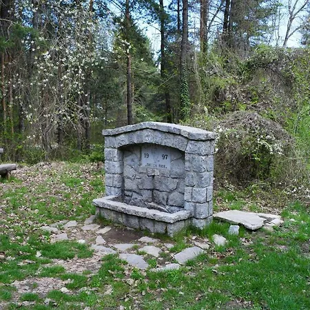 Detelina דירה בנסקו