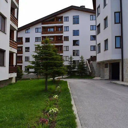 Detelina * Bansko