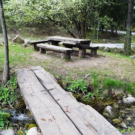 Apartment Detelina Bansko